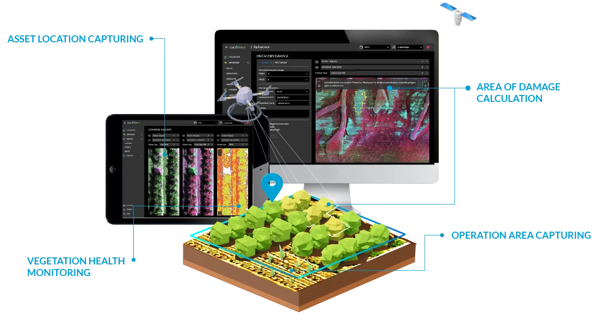 Imagery illustration
