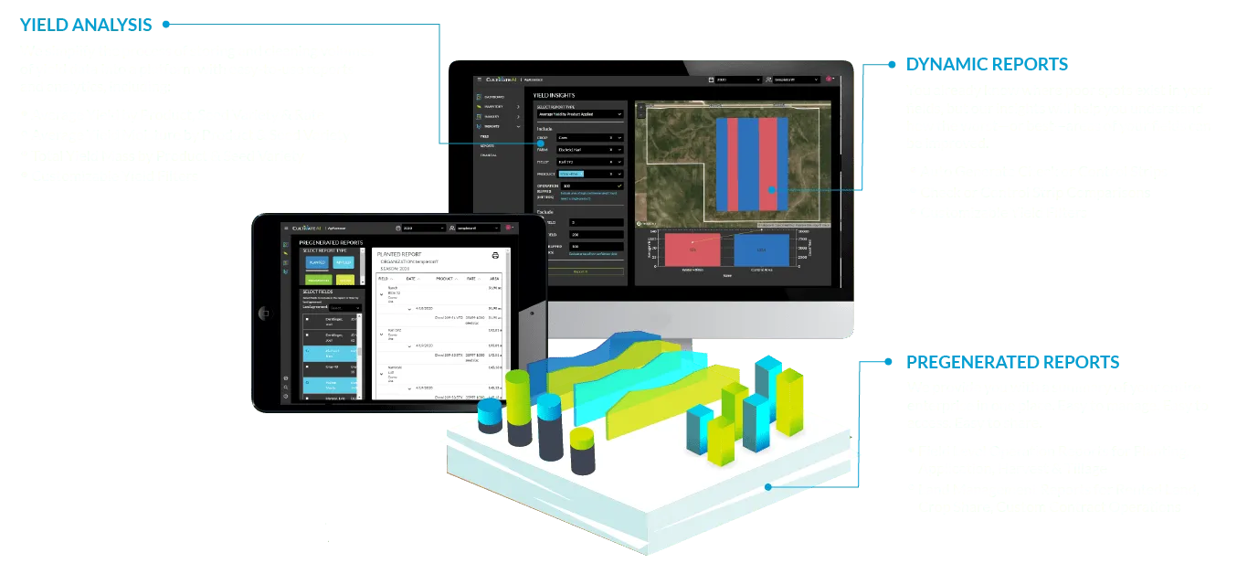 example report insights